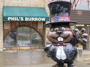 Do you enjoy the history and the legend? This is a place for you! It s a must- see location when visiting. Free to enter! www.groundhog.org Phil's Burrow Address: 301 E.
