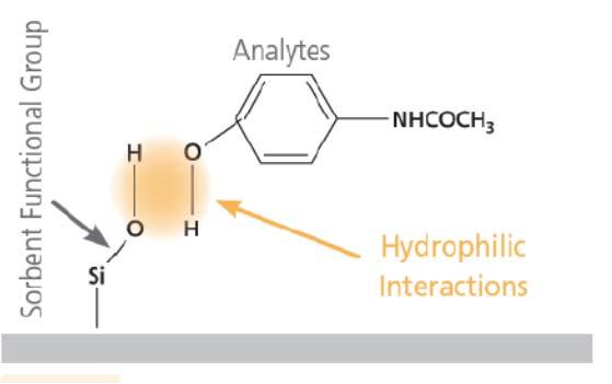 Sorbents with bonded phase Matrix can not give hydrophilic interactions!