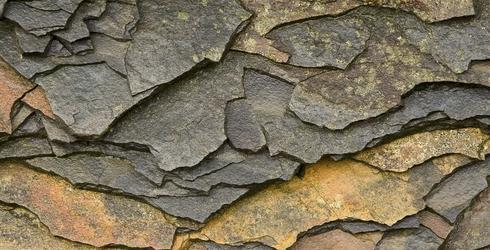 Fine-Grained Clastics Sedimentary rocks consisting of silt and mud