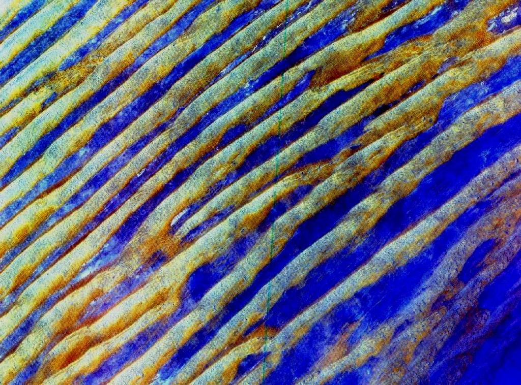 Aeolian Bedforms and Stratification Wind ripples (aeolian ripples, ballistic ripples) asymmetric outline, O(0.