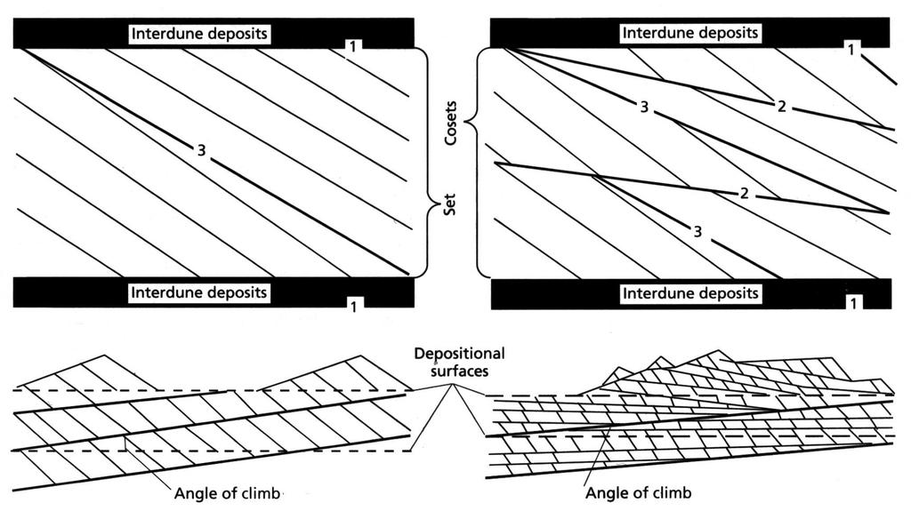 Bounding Surfaces An erosional surface within or between sets of cross-strata Simple dune Compound