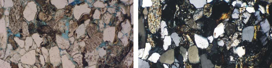 The framework grains are dominated by quartz and feldspar, and several quartz