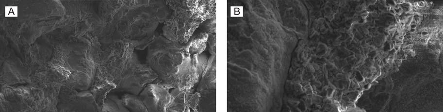 Figure 4.9 SEM images from the Windermere Sandstone Member in Mocamboro-11. Authigenic clays coat the coarse framework grains and reduce pore space (A).
