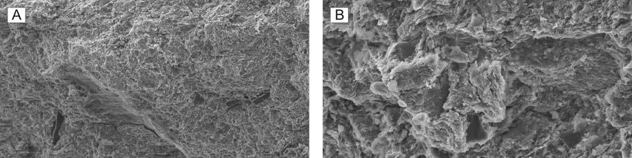 Figure 4.11 SEM images from Unit VI in Mocamboro-11. The sediments are clay and matrixdominated, with only isolated quartz grains visible (A, B).