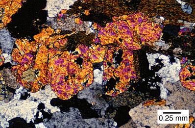 Epidote EU-81 Biotite granite gneiss Moine, Scotland Note the high-order interference colors