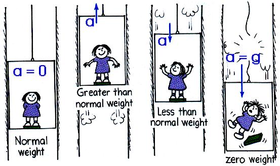 Weight = mass x gravity