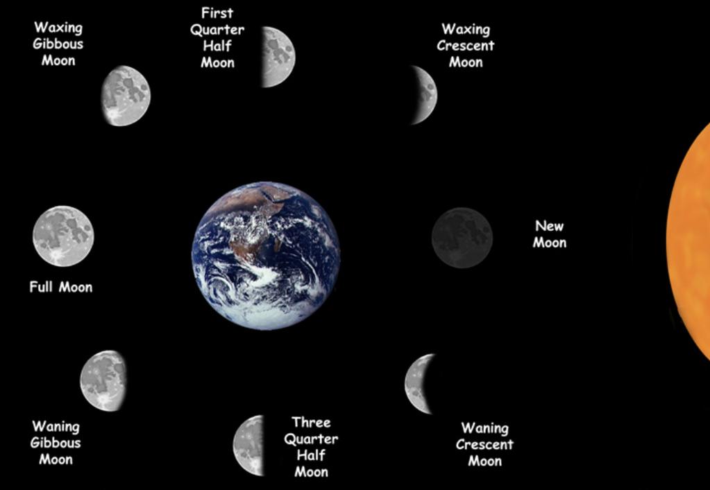 Phases of the Moon Full Waning Gibbous Last Quarter Half