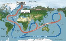 The Global Ocean Thermohaline Circulation: Ocean circulation