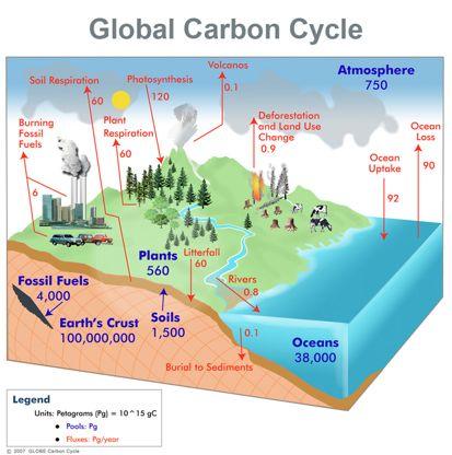 Where is Carbon Dioxide Coming From?
