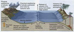 The Long-Term Carbon Cycle Removal of Carbon from surface systems: Chemical weathering (removes from atmosphere) Limestone formation