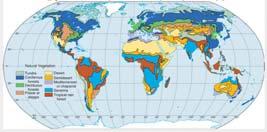 A B D E LIMATES World Distribution of limate, Soils and Vegetation VERY SIMILAR