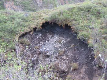 surface water on the distribution of permafrost taliks
