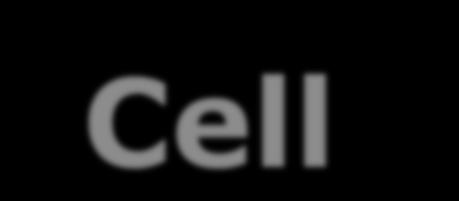 Cell Theory There are 3 concepts: 1.