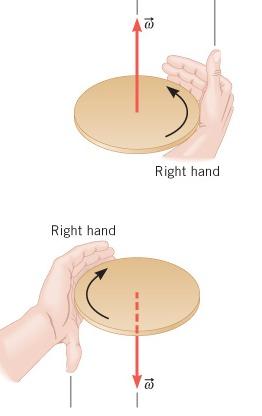 Directions of Angular Vectors ω & are vectors direction of ω points along axis of rotation right-hand rule: grab the rotation axis with right hand with fingers pointing in direction of