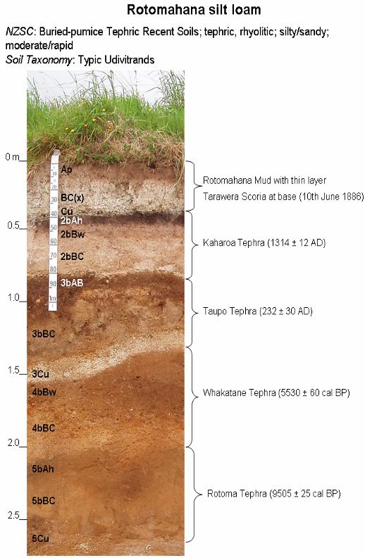STOP 5 ROTOMAHANA SILT LOAM, BRETT RD Location V16 146168, elevation 450 m asl, rainfall ~1500 mm pa 43 Note: Lake Rerewhakaaitu lies in a shallow basin impounded initially by pyroclastic deposits of