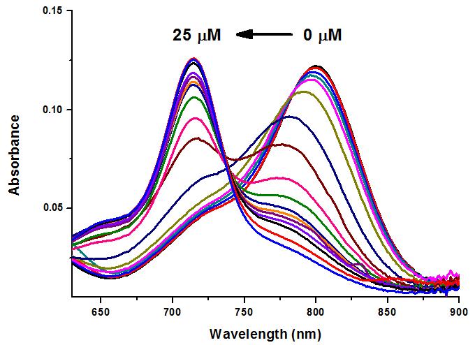 Figure S1. Electronic absorption spectra of 1 (0.5 M) in the presence of an increasing concentration of Hg 2+ in THF. Figure S2.
