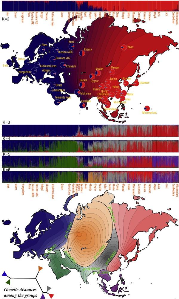 Inference on human migration history Li, Hui, Kelly Cho, Judith R Kidd, and Kenneth K Kidd. 2009. Genetic landscape of Eurasia and ʻadmixtureʼ in Uyghurs.