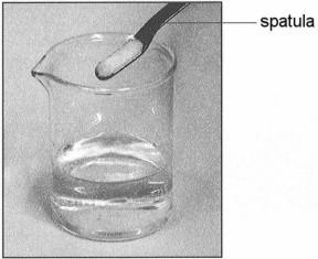 (c) They used water at 60 C in both beakers. What else did they do to make their investigation fair?