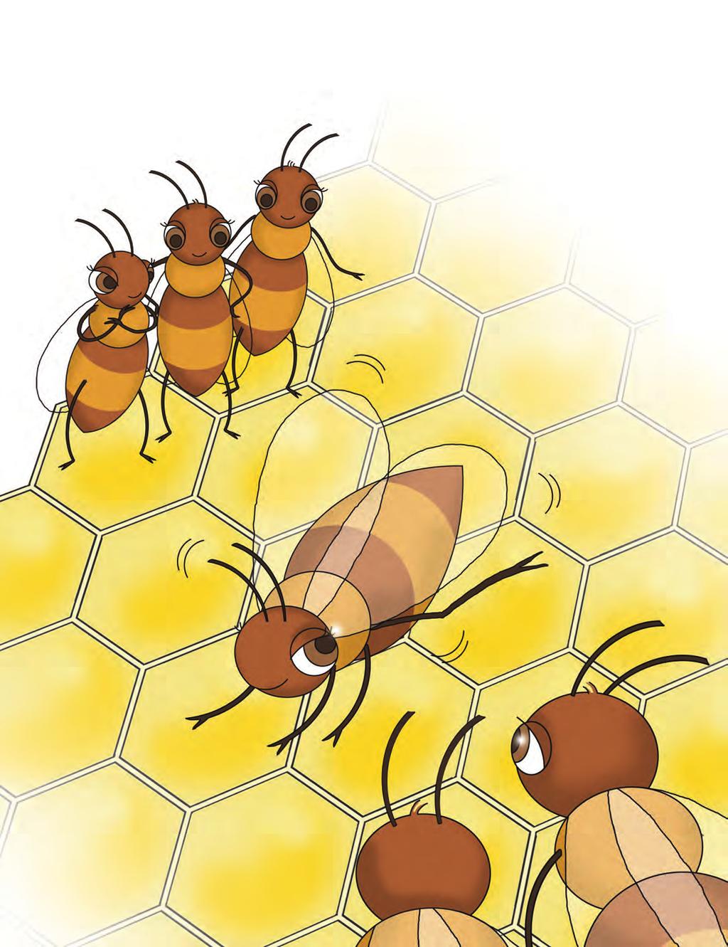 Can you waggle? We have four wings, but they overlap and look like just two. Our wings make the buzzing sound.