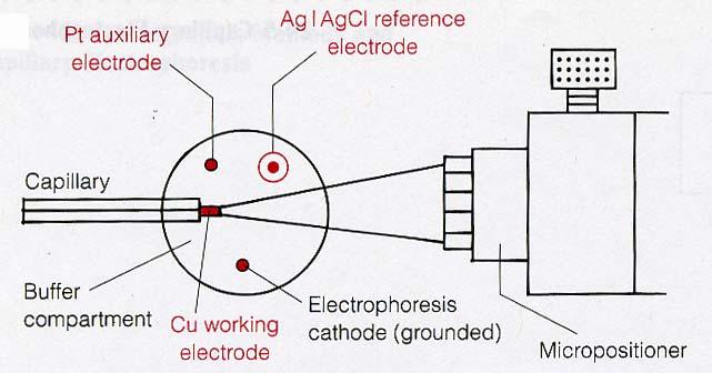 3. Conductivity Modes of separation 1. Capillary Zone electrophoresis 2.Capillary iso-electric focusing 3.