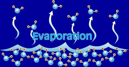 the surface = evaporation