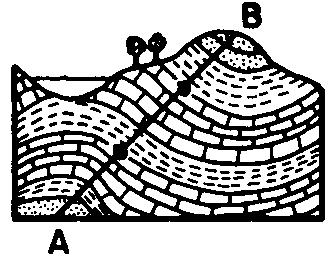 9. The diagram below represents a geologic cross section of sedimentary rock layers that have not been overturned.