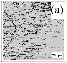 It was observed that when the electrodes are placed upon an ITO surface during electrophoresis (Figure 3) the migration of the PS beads was uniform close to the surface and it varied linearly with