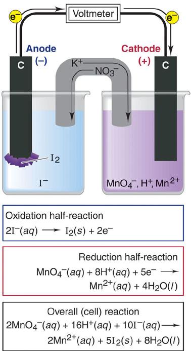 Other Voltaic Cell & Their Line Notation Oxidation half-reaction Zn (s) g Zn