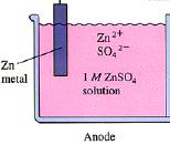 Standard Reduction Potential How is E red (Cathode) and E red (Anode) determine.