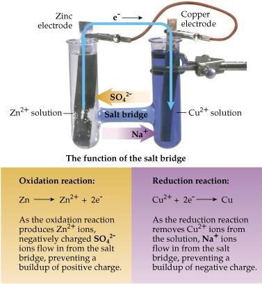 Salt Bridge: Function In order for electrons to move through an external wire, charge must not build up at any cell.
