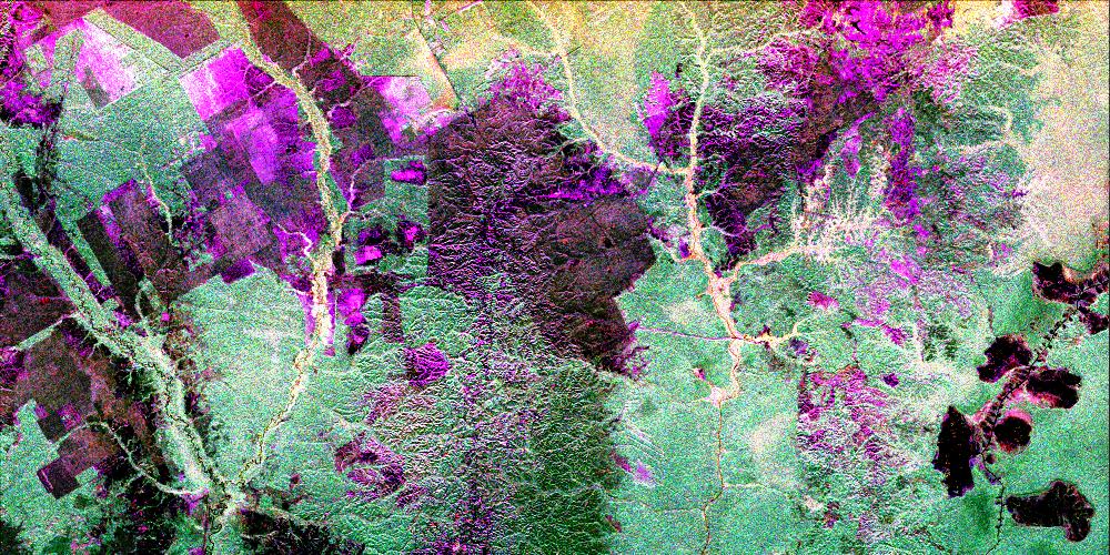 Multi-Polarization SAR Image (SIR-C 1994) clear-cuts native forest lakes red = L-HH