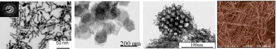Synthesis of 1D, 2D and 3D nanomaterials Au Nanorods Pd