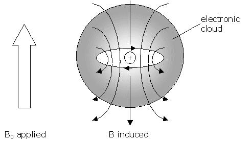 Shielding by Bonding Electrons β B 0 ΔE B i B T B 0 α B B T < B 0 because of B i Electron