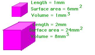 Surface Area/Volume = As Large