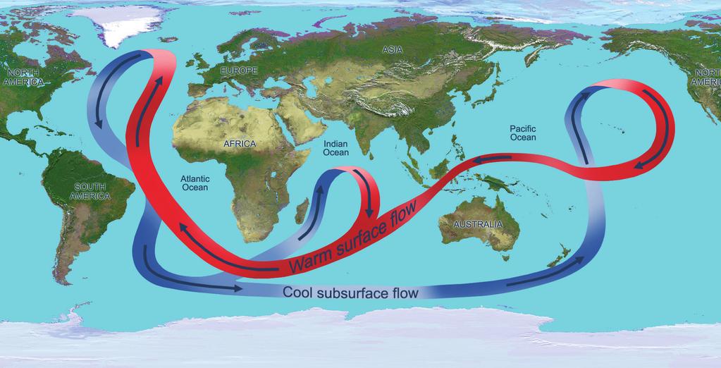 GRACE: Tracking Water from Space Warm water holds more salt. The Gulf Stream, which flows northward along the eastern coast of North America, is warm and salty.
