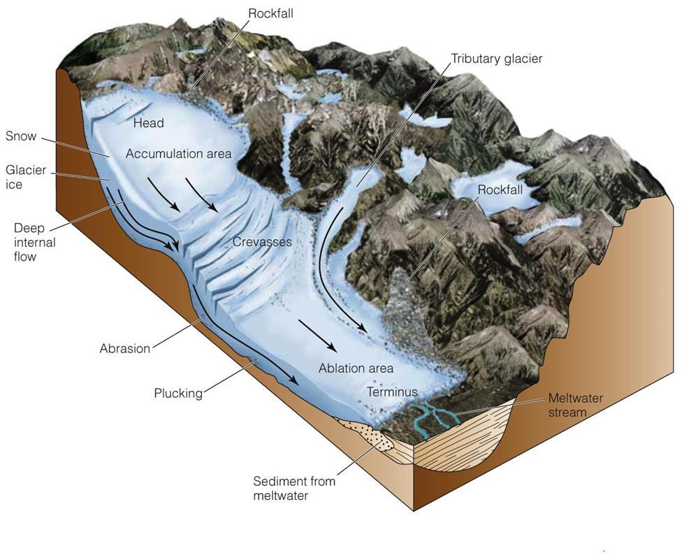 A glacier s advance or retreat is the balance of the amount of snow and ice added (accumulation) and lost (ablation) Upper zone is the