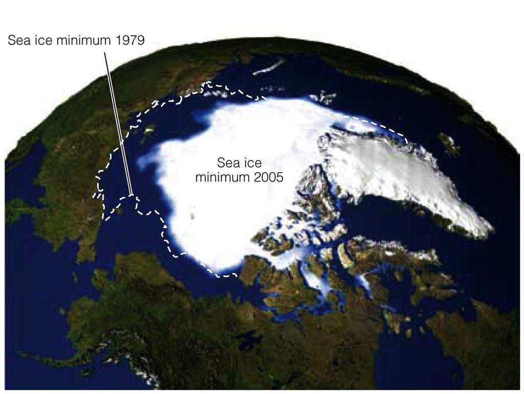 Sea Ice Forms by the solidification of fresh water at the ocean surface, not by precipitation, salt crystals are excluded In glacial periods, the ocean becomes saltier, during