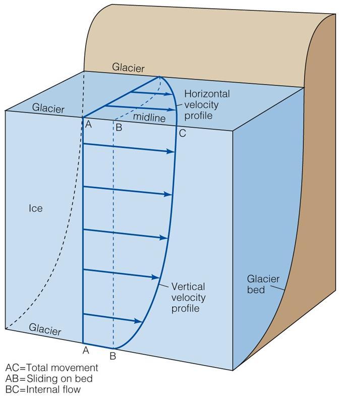 The uppermost ice in the central part of a glacier flows faster than the sides and the base - similar to a river Flow velocities vary from cm to m per day Even as a