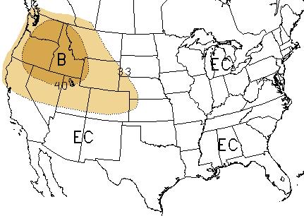 The May 2008 precipitation forecast will be updated on April 30st. on the CPC web page. Because of the shorter lead-time, the zero-lead forecast (i.e. on the last day of the previous month) often has increased skill over the half-month lead forecasts shown here.