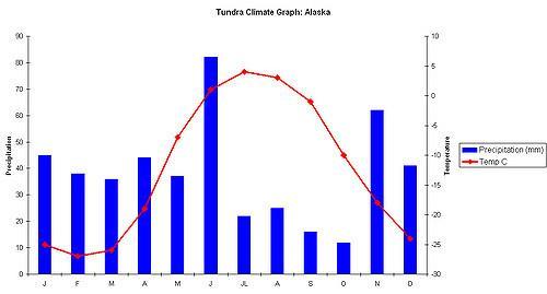 Tundra Precipitation 10 25 cm/yr Temperature Short growing season