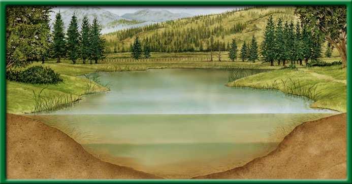 Freshwater biomes Another abiotic factor that limits life in deep lakes is light.