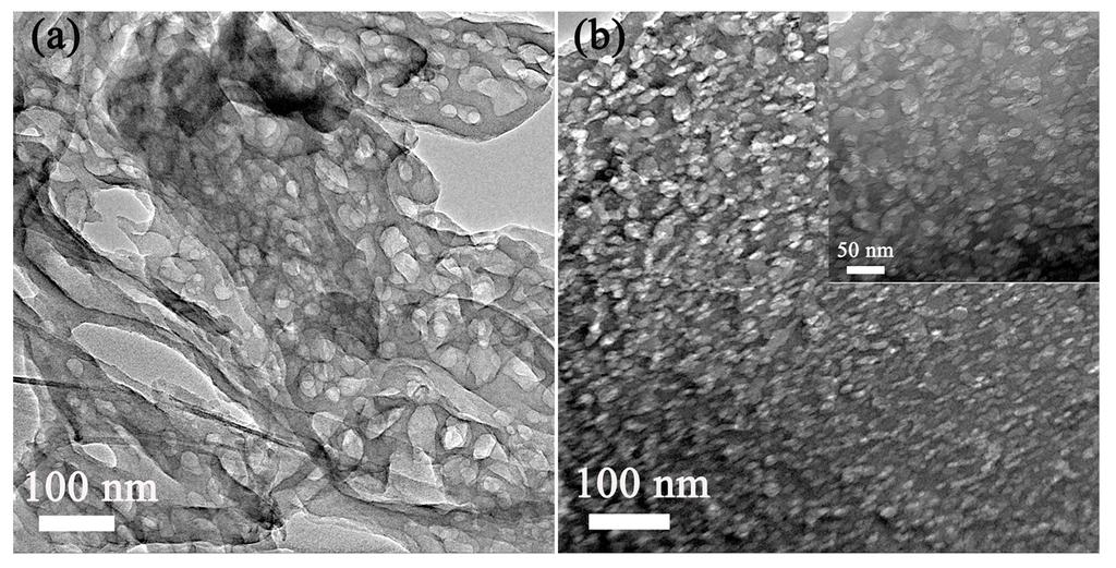 Fig. S5 TEM images of porous g-c 3 N 4 obtained from (a) sublimed sulfur with urea (0.