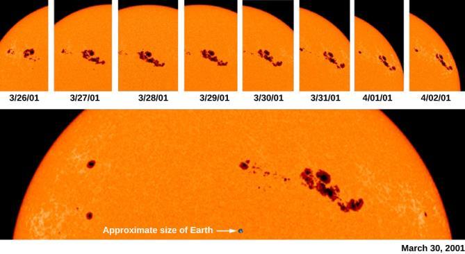 FIGURE 15.14 Sunspots Rotate Across Sun s Surface. This sequence of photographs of the Sun s surface tracks the movement of sunspots across the visible hemisphere of the Sun.