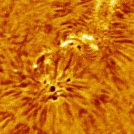 Micro flares (or Ellerman bombs): they are small flares that occur over the chromosphere. They appear as very brilliant dots on the surface.
