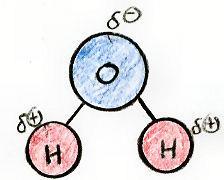 Covalent Bonding Polar Covalent: The