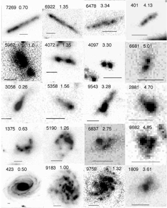 Clumps: Important Feature of High-redshift Galaxies Seen in deep rest-frame UV (e.g., Elmegree+07, 09, Guo+12), rest-frame optical images (e.g., Forster Schreiber+11, Guo+12), and emission line maps (e.