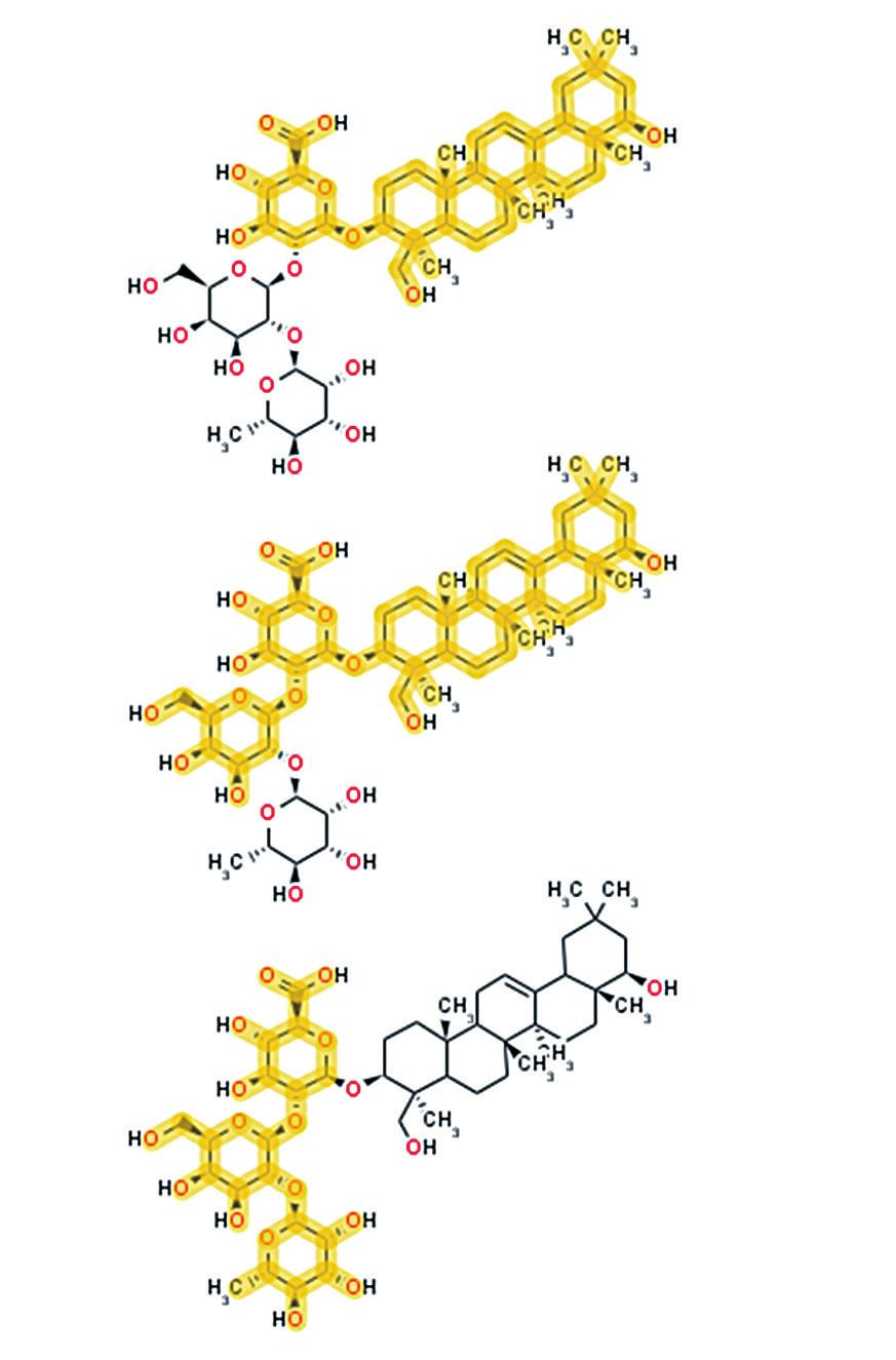 The best candidate molecule was Soyasaponin I. The characteristic aglycon fragment with 441.373 m/z highlighted on the Soyasaponin I molecule subsantiated this structural hyposesis.