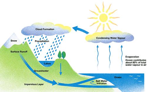 water, wind, or ice water cycle the movement of water