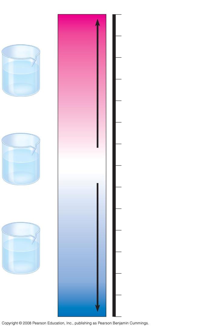 10 ph of Water: Acids Water Ionizes (draw out) ph of Water Acids dissociate in water to give H+ ion and an anion (Proton Donor) HCl Bases release OH- ions or take up hydrogen ions (H+) NaOH 28 Fig.