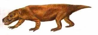 Lystrosaurus These reptiles were believed to give rise to